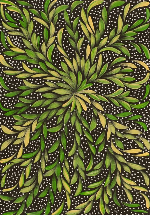 Louise Numina Napananka Aboriginal Art