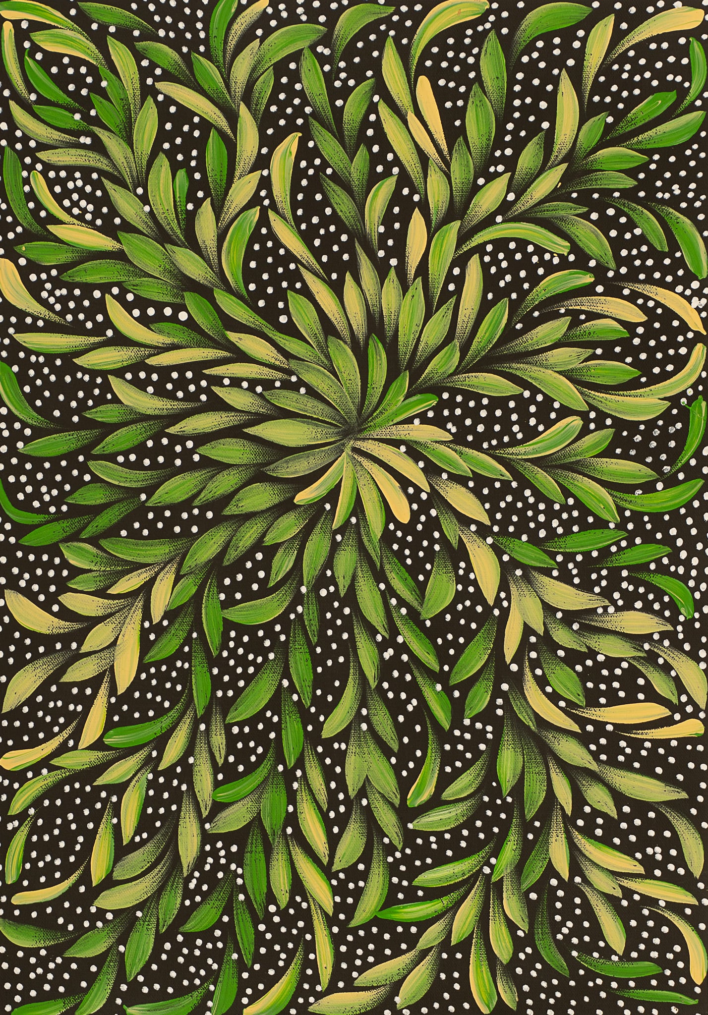 Louise Numina Napananka Aboriginal Art