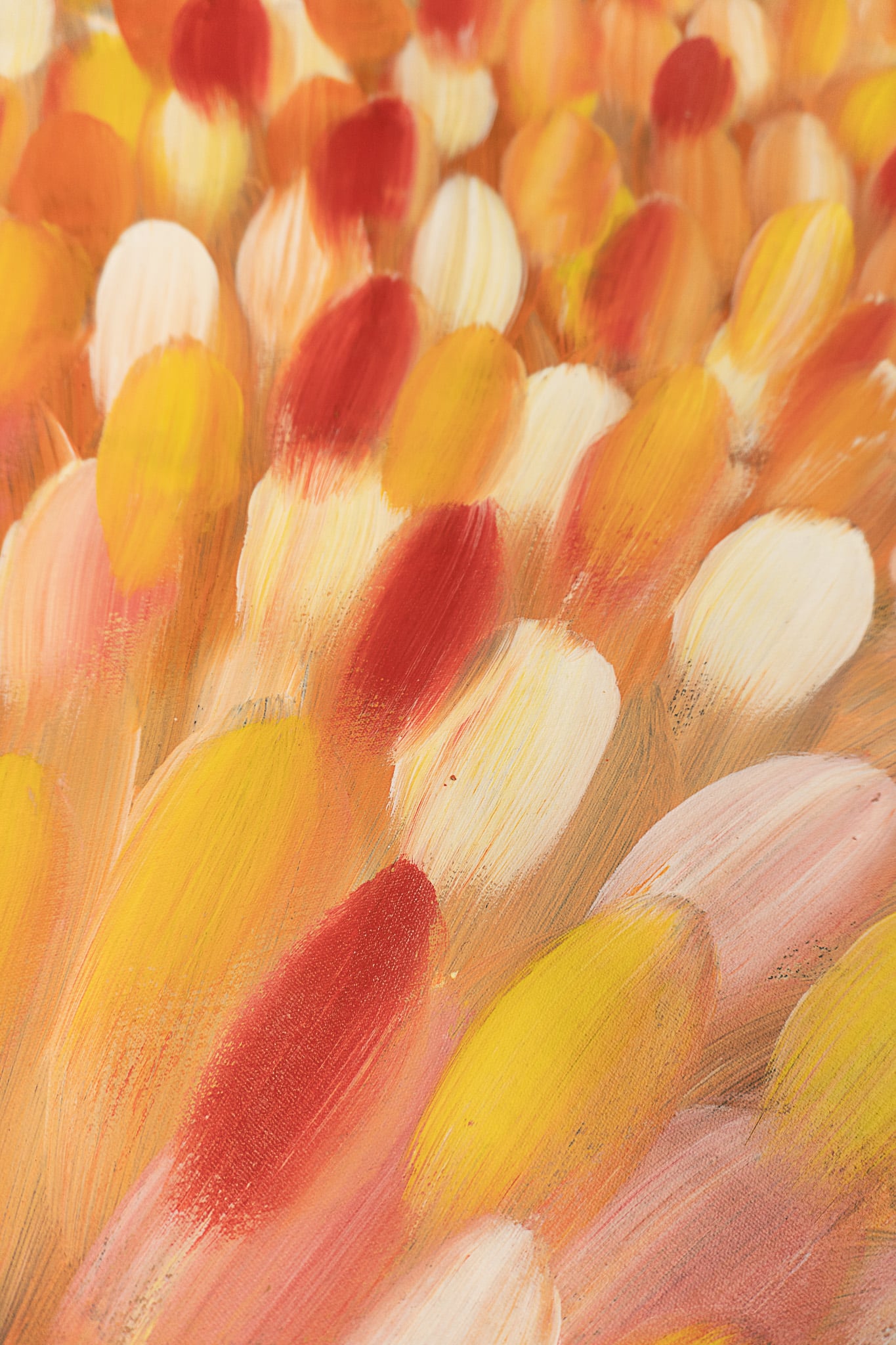 Roseanne Morton Petyarre Aboriginal Art