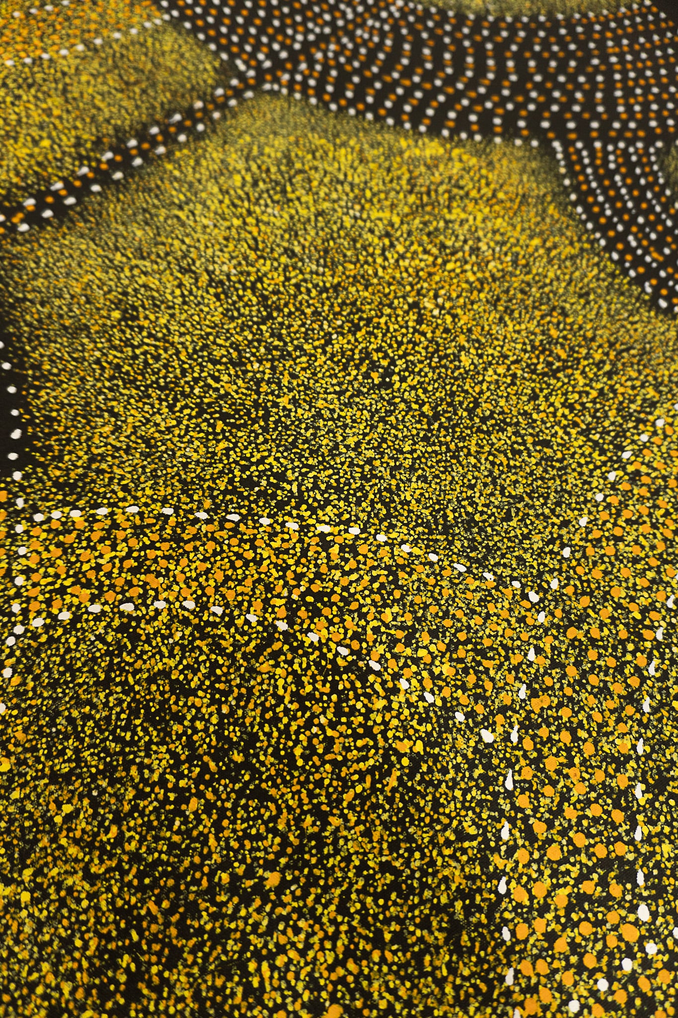 Roseanne Morton Petyarre