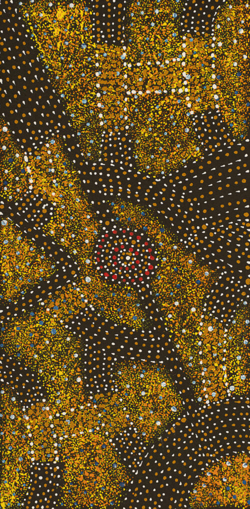 Roseanne Morton Petyarre Aboriginal Art