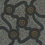 Sean Bundjalung Aboriginal Art