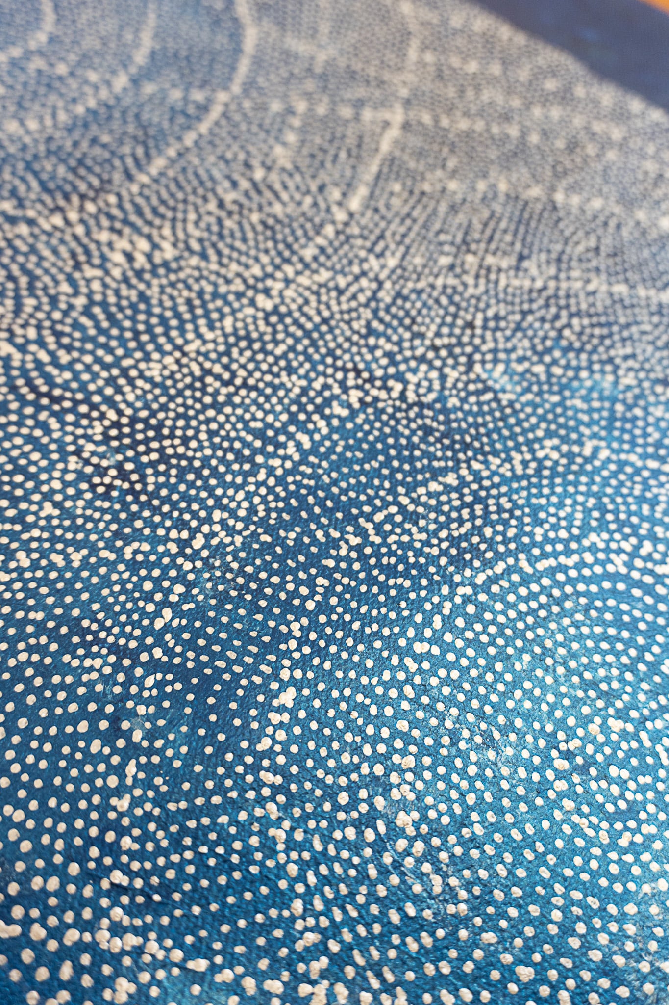 Sarrita King Aboriginal Art