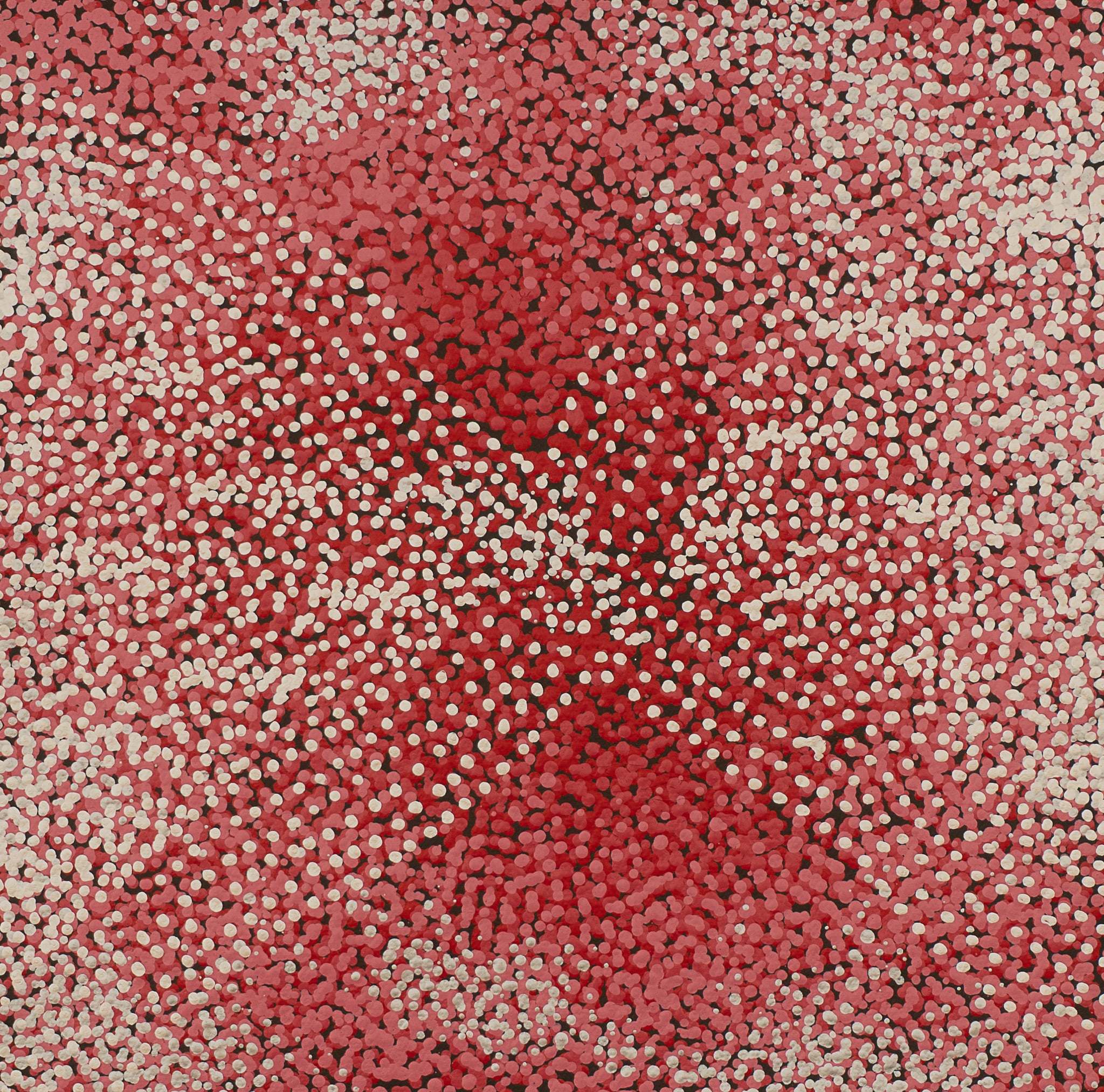 Tarisse King Aboriginal Art