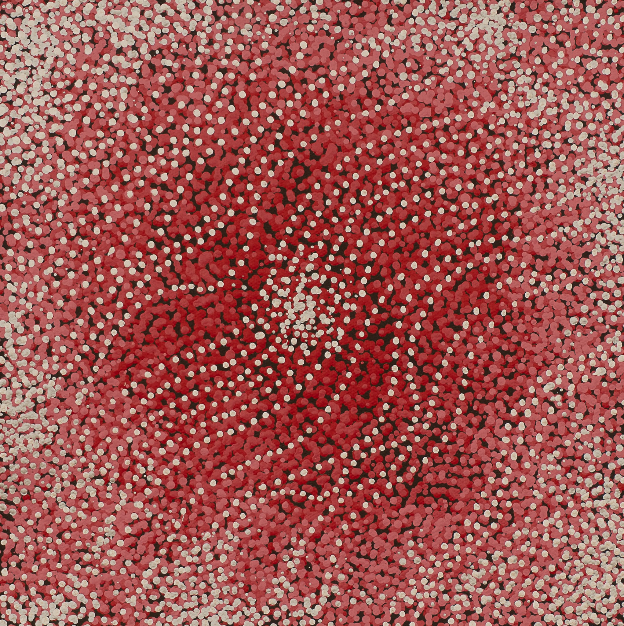 Tarisse King Aboriginal Art
