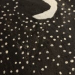 Peter Goloou Thomas Aboriginal Art