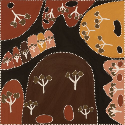 Katie Cox Aboriginal Art