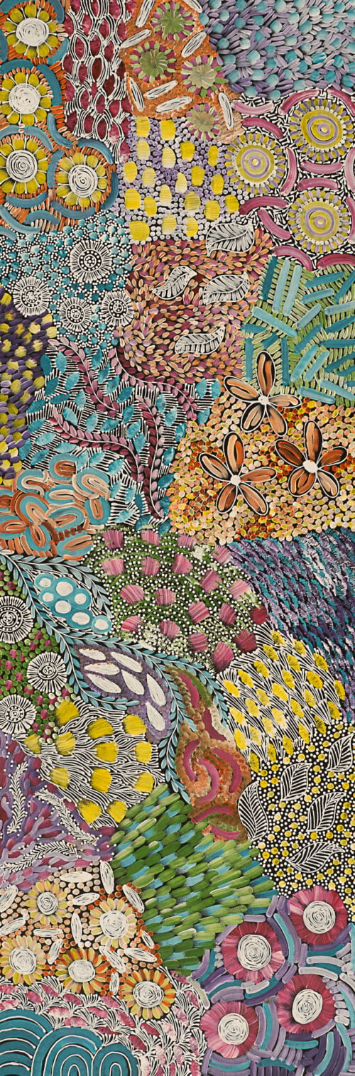 Karen Bird Ngale / Awelye and Bush Medicine (KBN39)