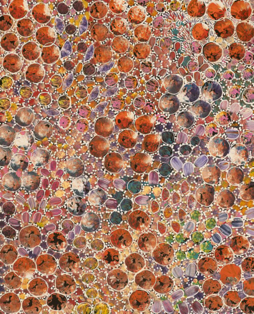 Rachael Nambula Aboriginal Art