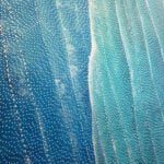 Sarrita King Aboriginal Art